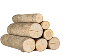 rondin de bois